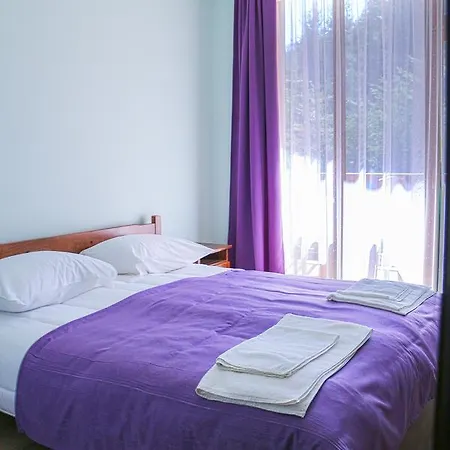 Aida * Breznitsa